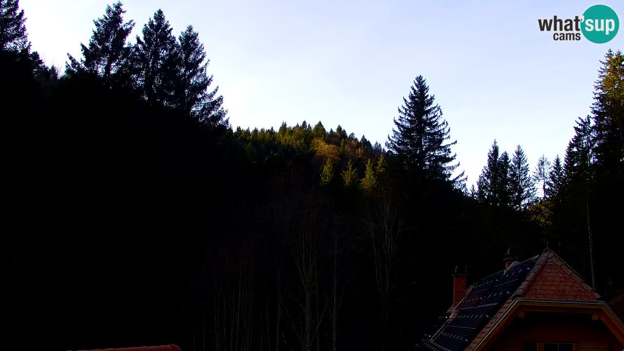 Webcam Lukanja – Water Village | Pohorje Houses