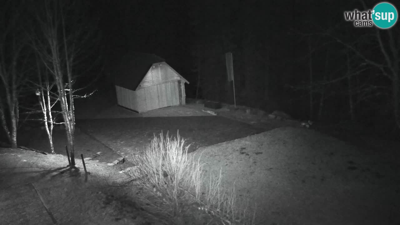 Spletna kamera Lukanja – Water Village | Pohorje Houses