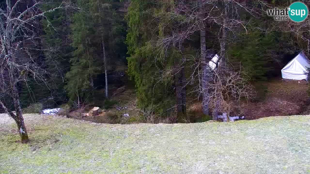 Webcam Lukanja – Water Village | Pohorje Houses