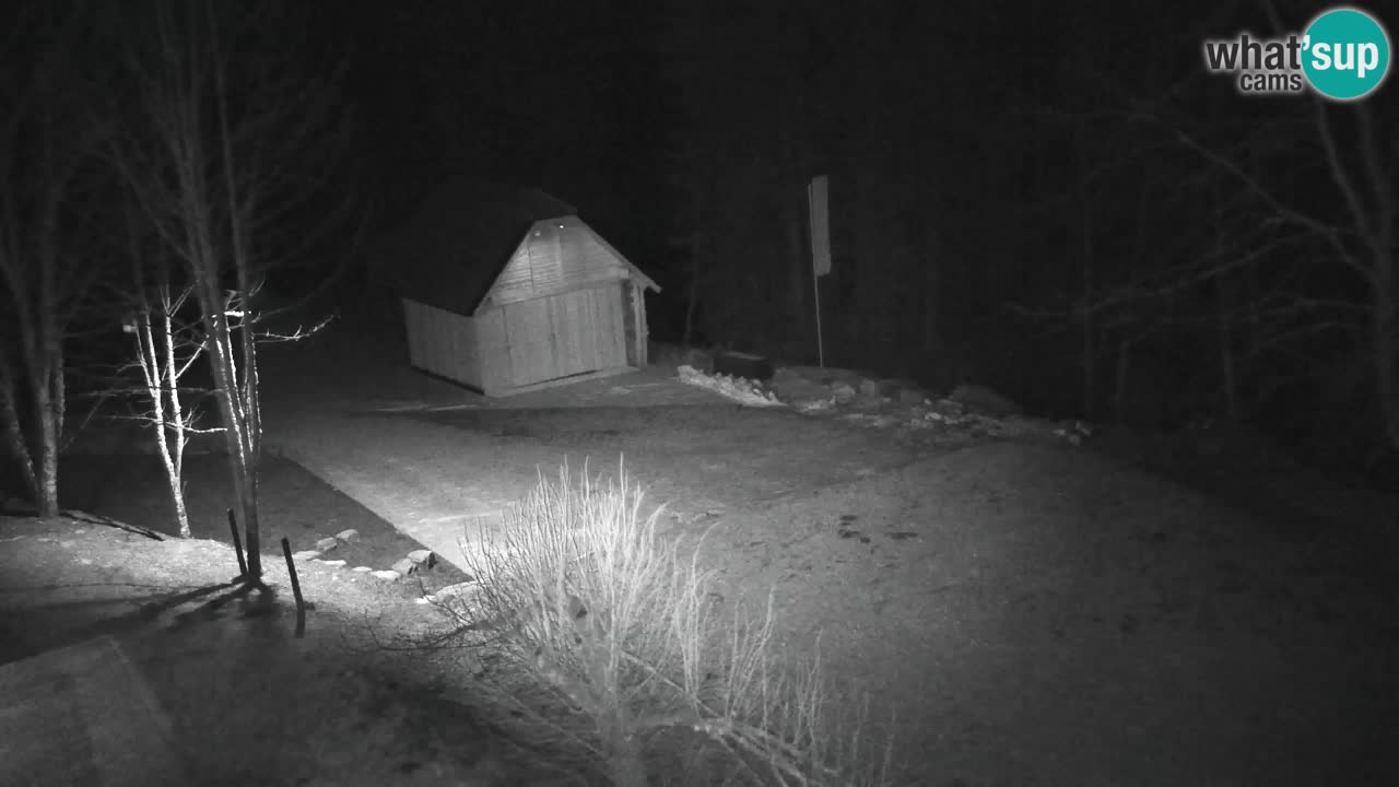 Webcam Lukanja – Pohorje houses a Water village