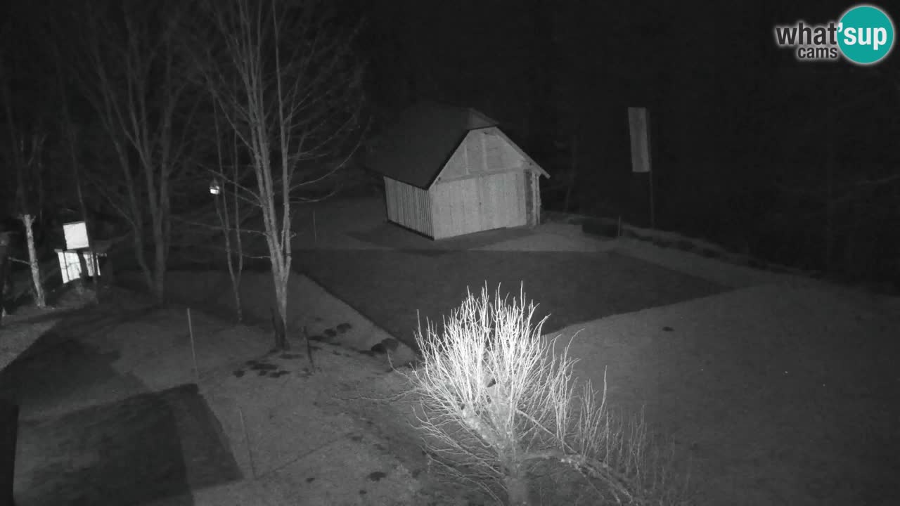 Webcam Lukanja – Water Village | Pohorje Houses