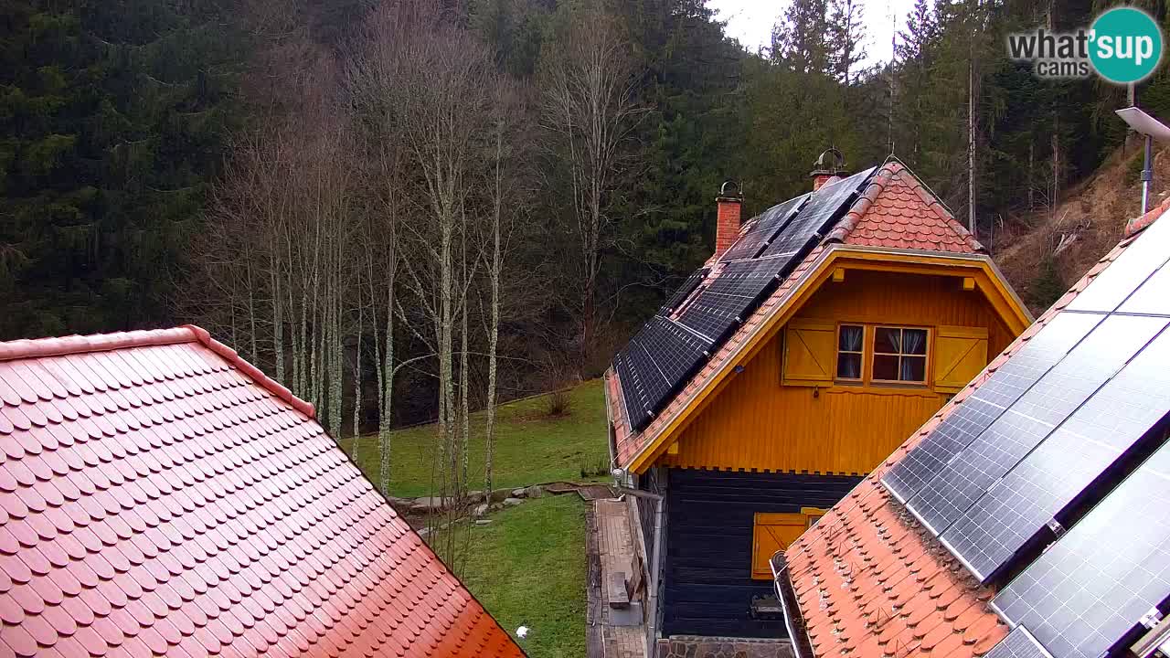 Webcam Lukanja – Water Village | Pohorje Houses
