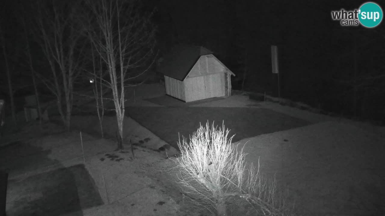 Webcam Lukanja – Pohorje houses a Water village