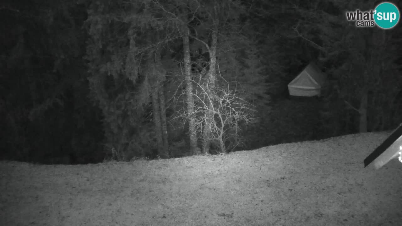 Web kamera Lukanja – Water Village | Pohorje Houses