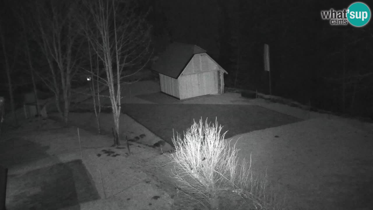 Webcam Lukanja – Pohorje houses a Water village