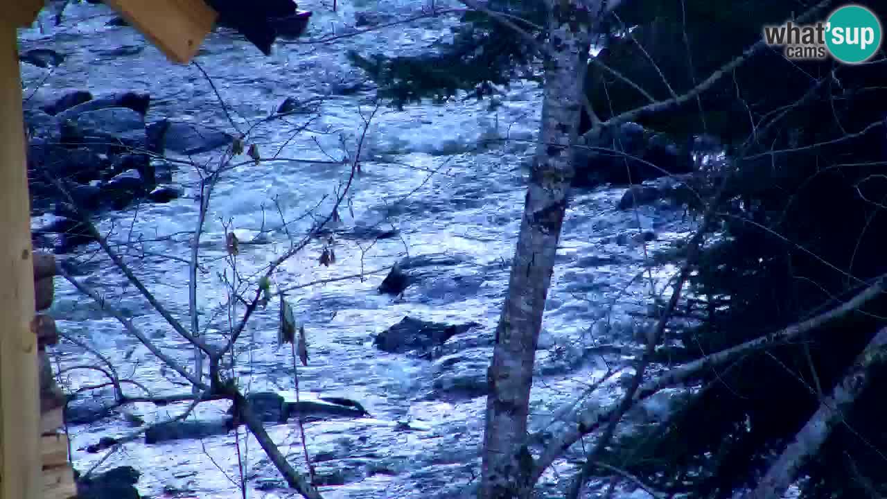 Webcam Lukanja – Water Village | Pohorje Houses