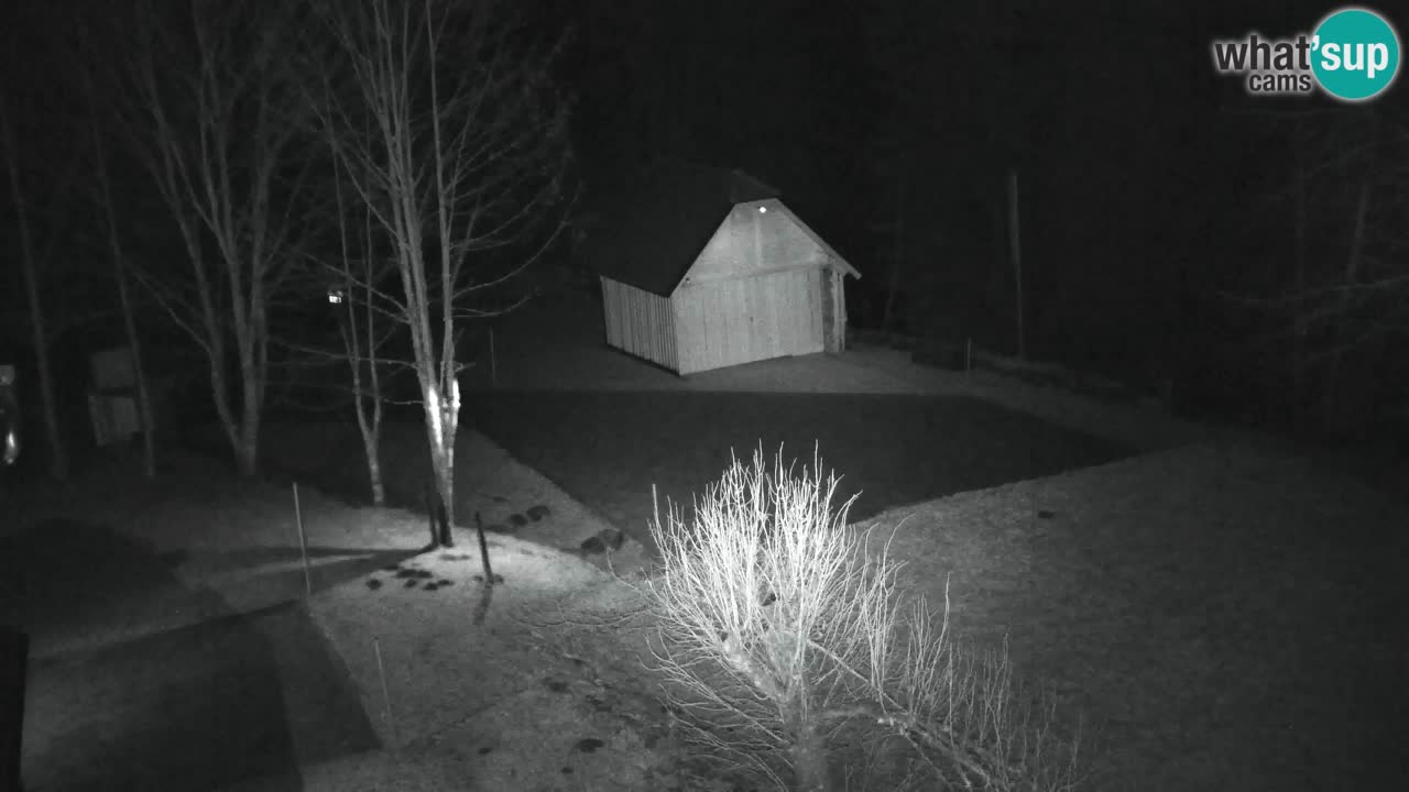 Webcam Lukanja – Pohorje houses a Water village