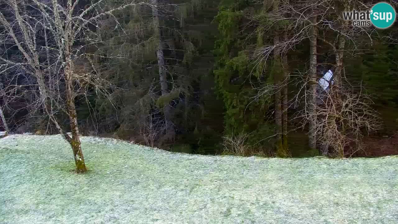 Webcam Lukanja – Water Village | Pohorje Houses