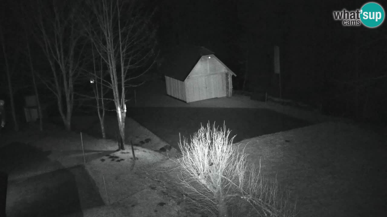 Webcam Lukanja – Pohorje houses a Water village