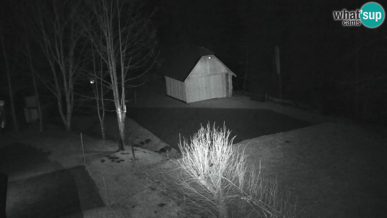 Webcam Lukanja – Pohorje houses a Water village