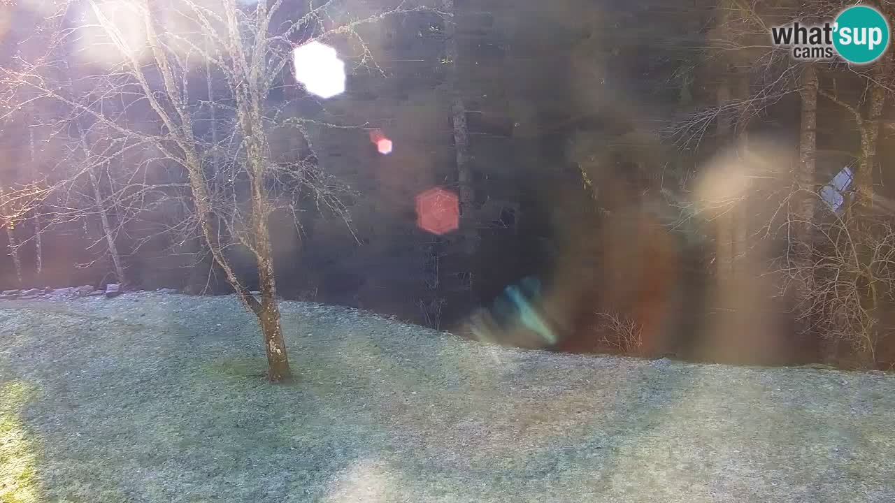 Webcam Lukanja – Pohorje houses a Water village