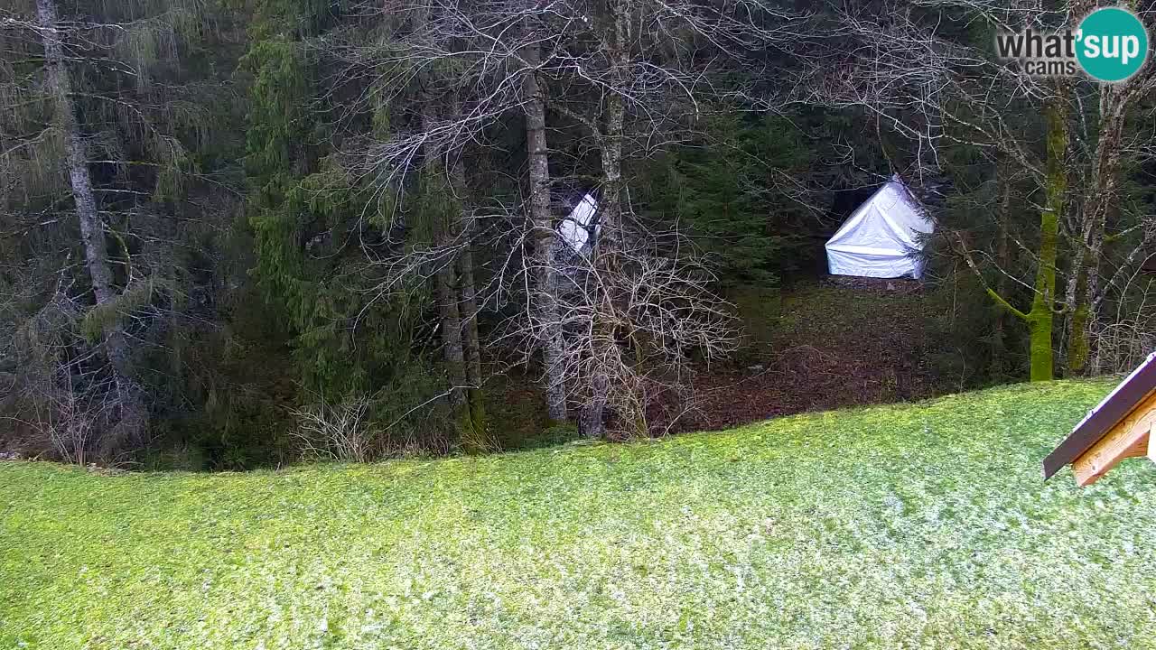 Webcam Lukanja – Water Village | Pohorje Houses