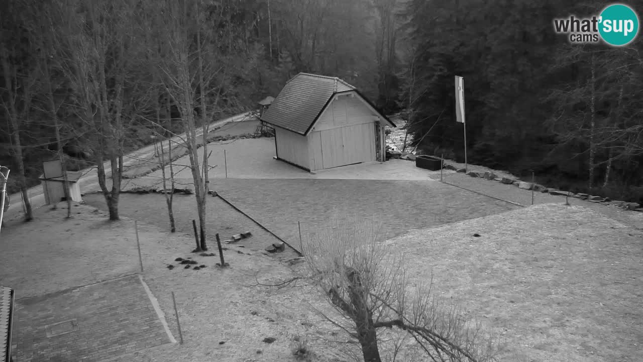 Web kamera Lukanja – Water Village | Pohorje Houses