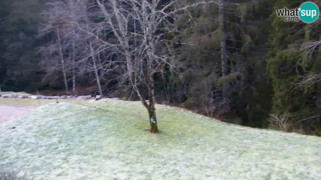 Spletna kamera Lukanja – Water Village | Pohorje Houses