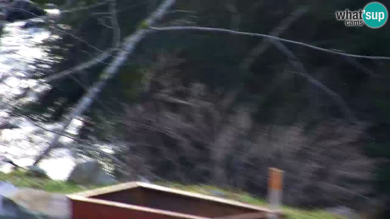 Webcam Lukanja – Pohorje houses a Water village