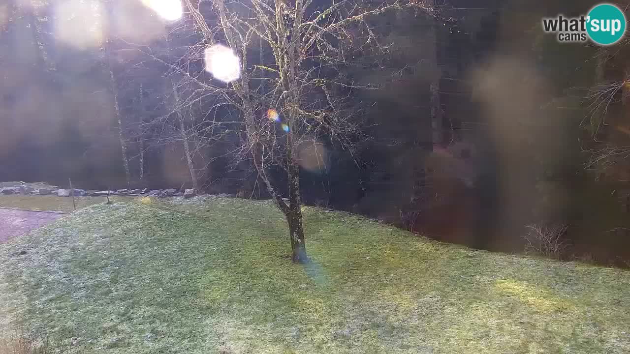 Webcam Lukanja – Water Village | Pohorje Houses