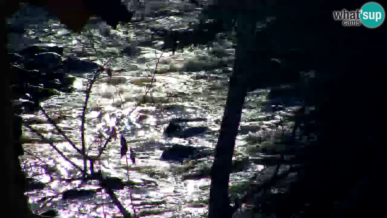 Webcam Lukanja – Water Village | Pohorje Houses