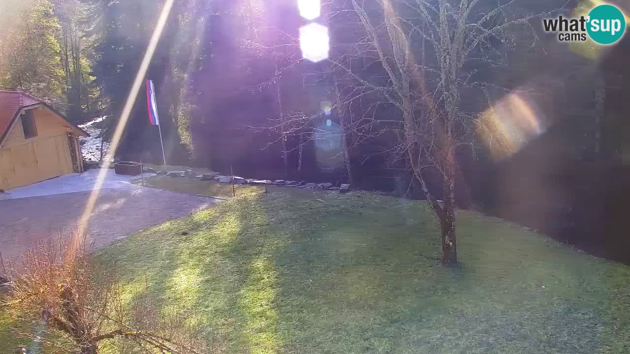 Webcam Lukanja – Pohorje houses a Water village