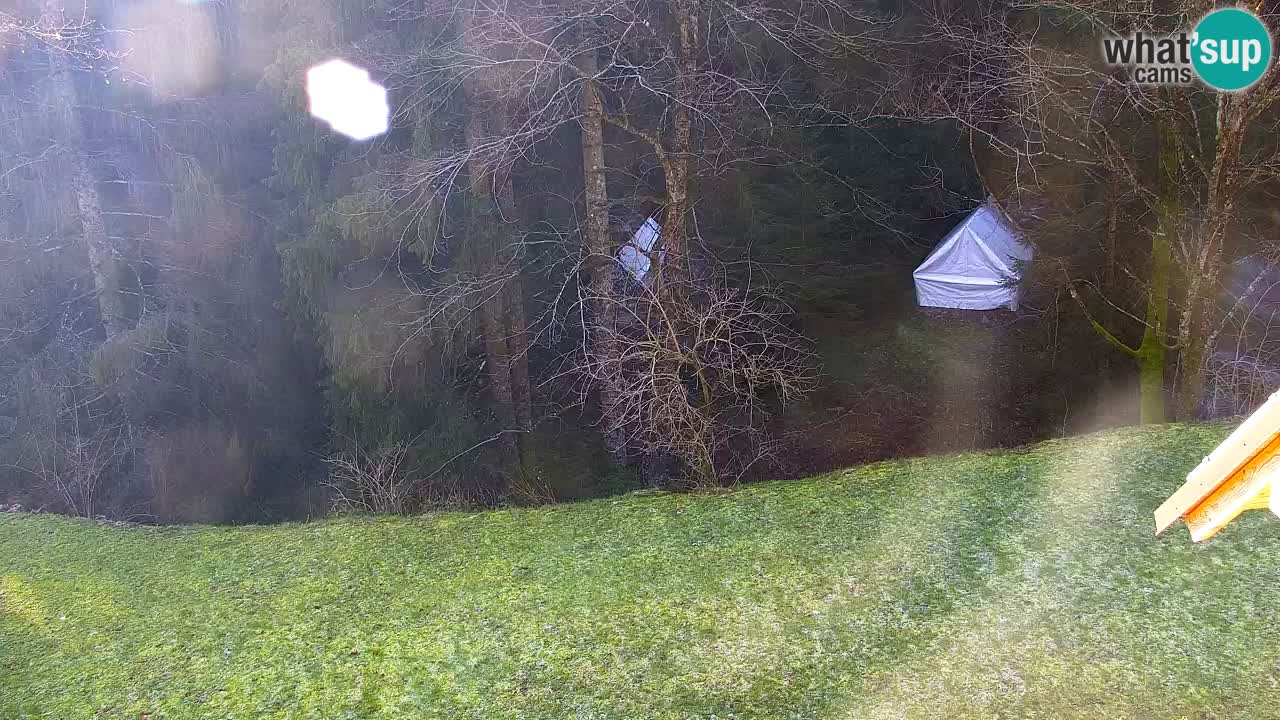 Webcam Lukanja – Water Village | Pohorje Houses