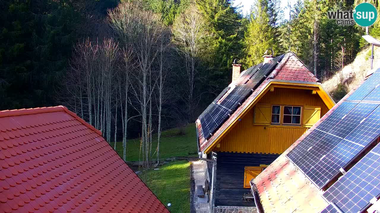Webcam Lukanja – Water Village | Pohorje Houses