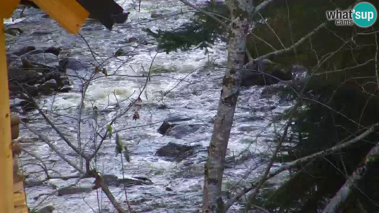 Webcam Lukanja – Water Village | Pohorje Houses