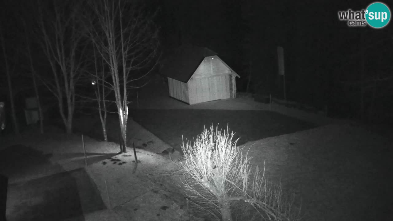 Webcam Lukanja – Pohorje houses a Water village