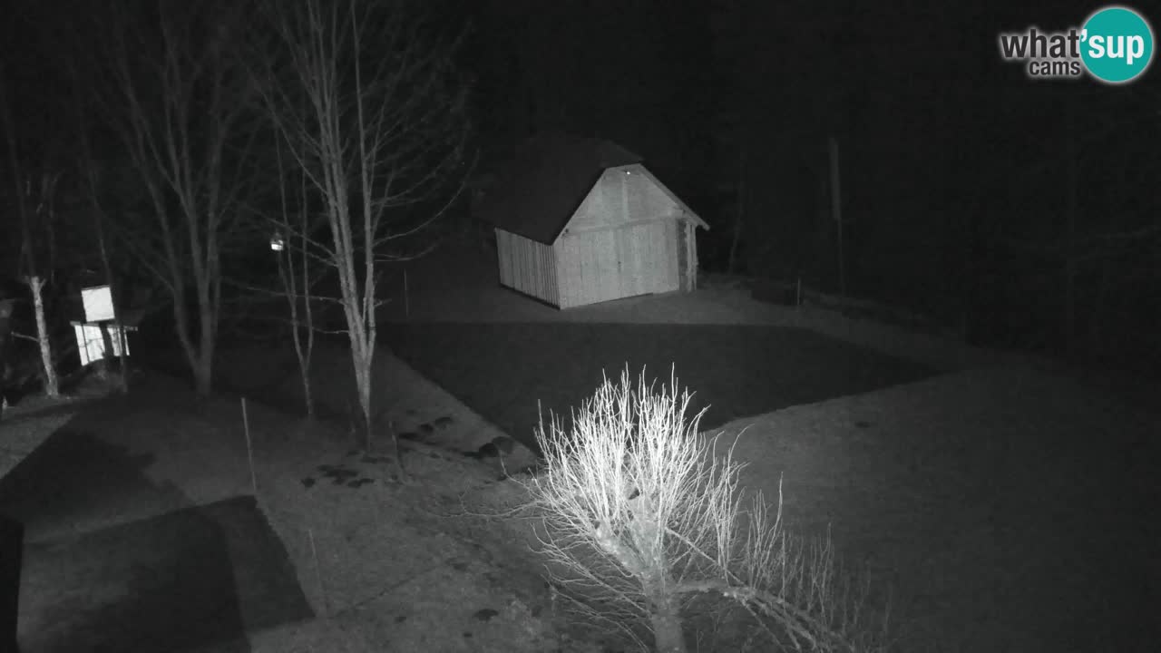 Webcam Lukanja – Water Village | Pohorje Houses