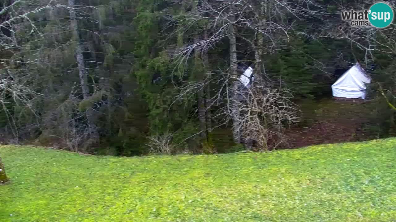 Webcam Lukanja – Water Village | Pohorje Houses