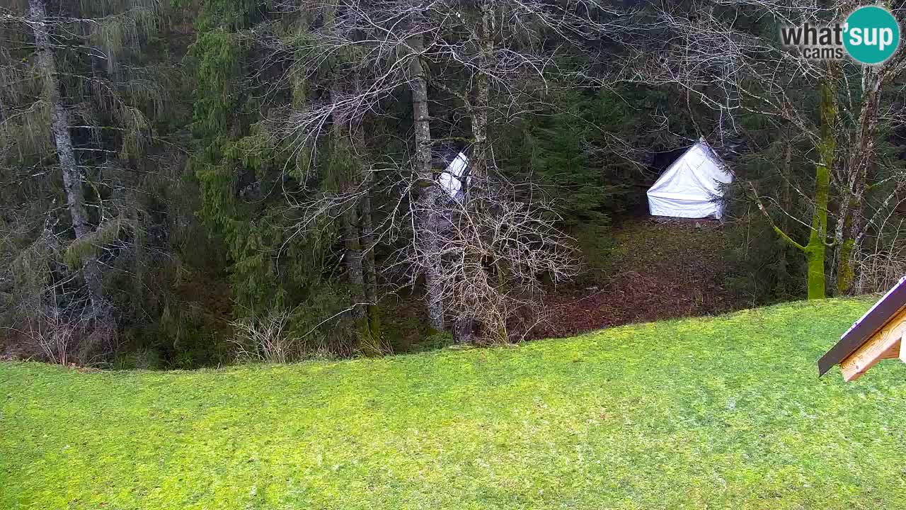 Web kamera Lukanja – Water Village | Pohorje Houses