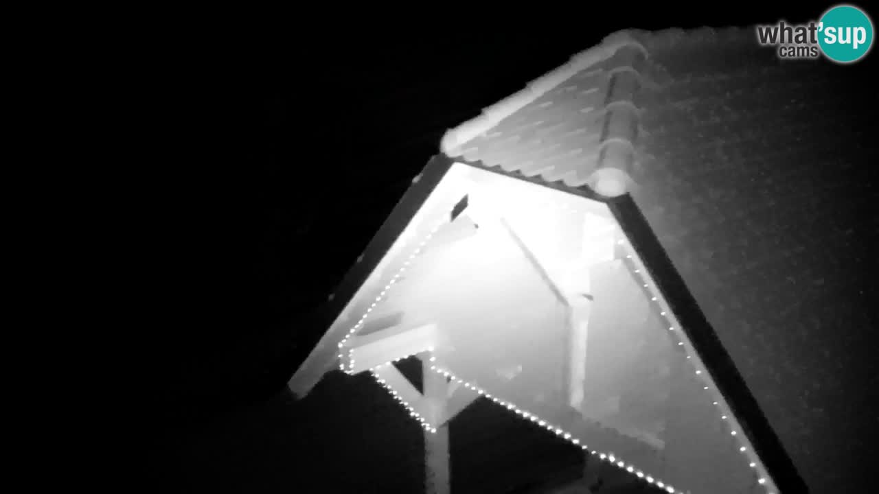 Webcam Lukanja – Water Village | Pohorje Houses