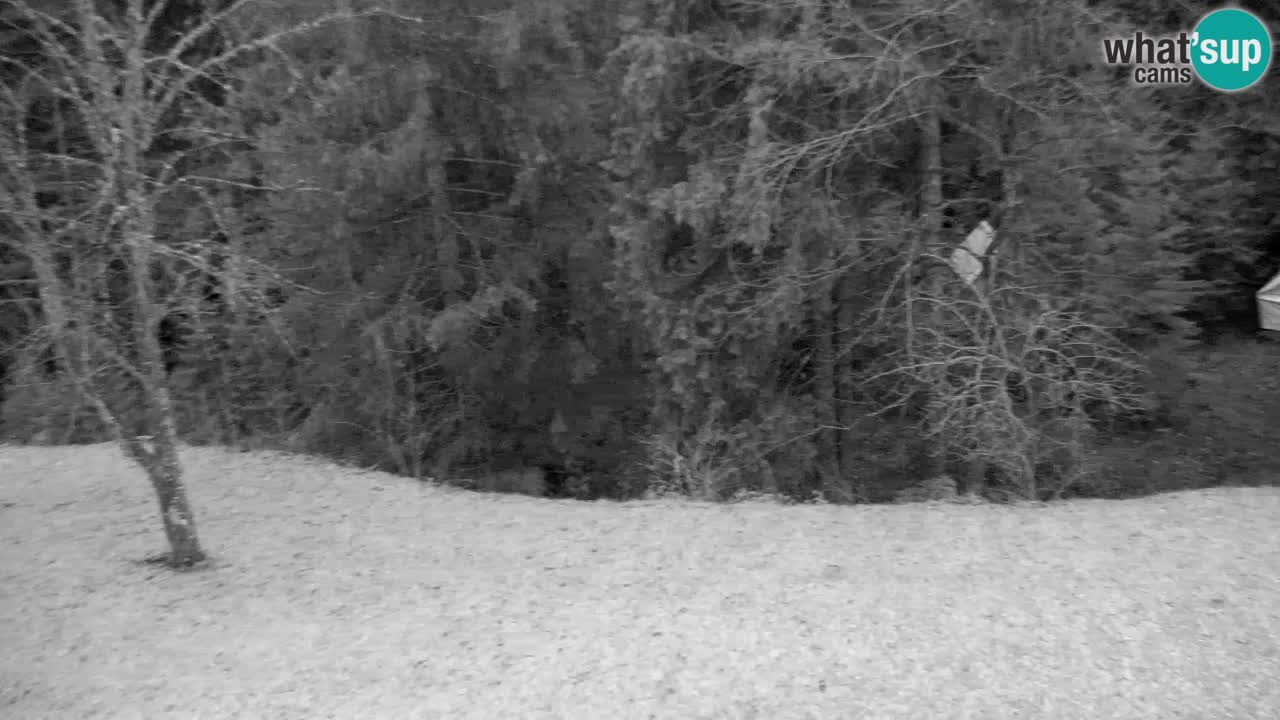 Webcam Lukanja – Water Village | Pohorje Houses