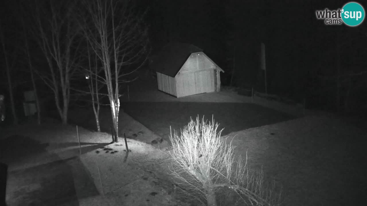 Webcam Lukanja – Water Village | Pohorje Houses