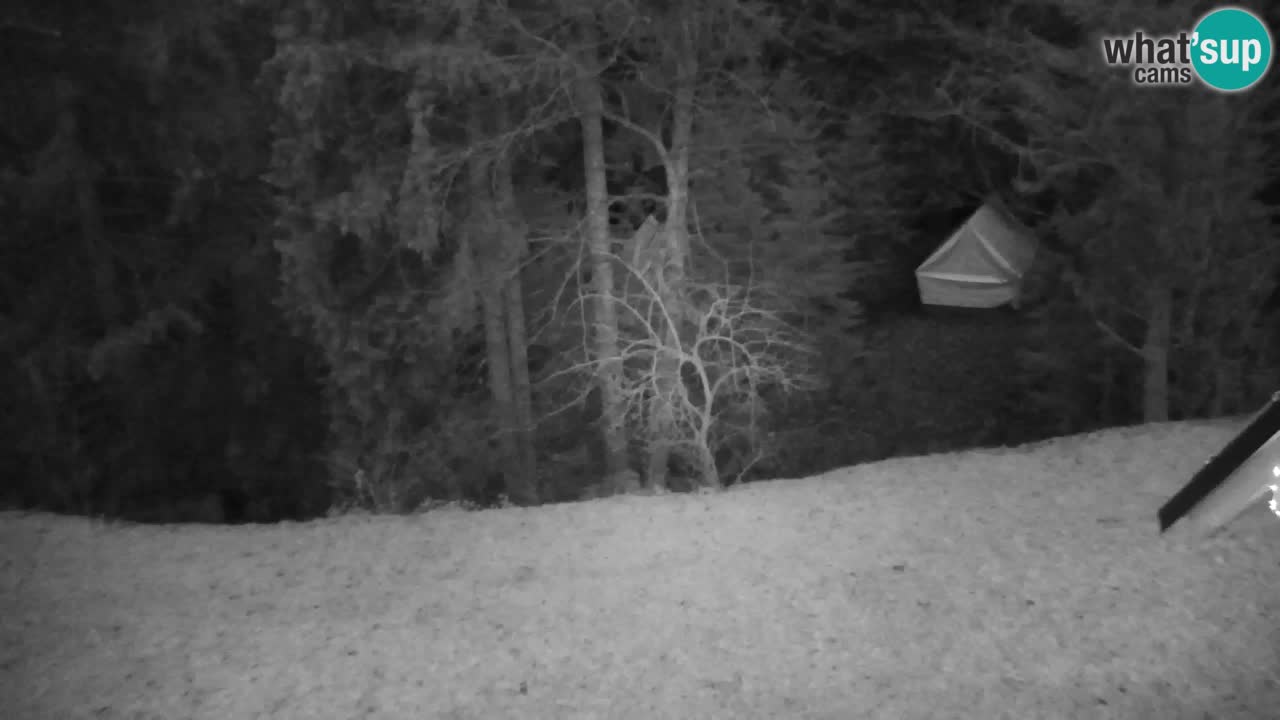 Webcam Lukanja – Pohorje houses a Water village