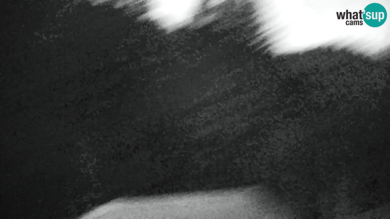 Webcam Lukanja – Pohorje houses a Water village