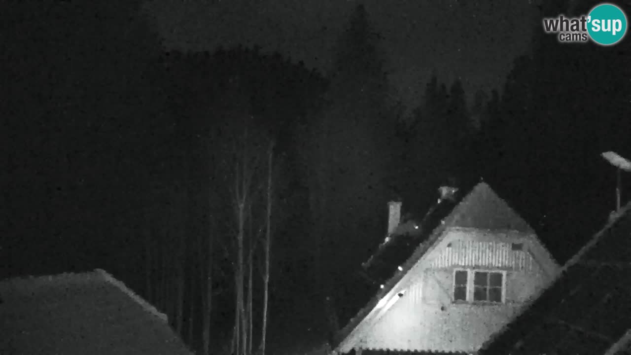 Web kamera Lukanja – Water Village | Pohorje Houses