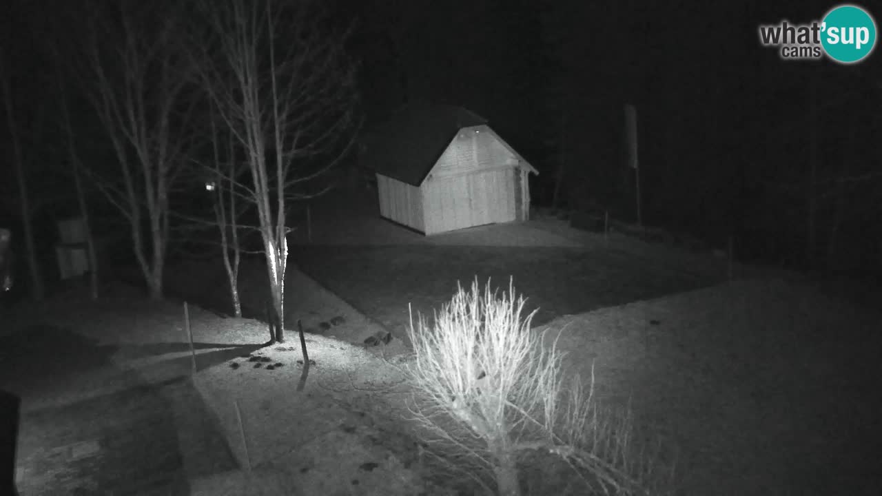 Webcam Lukanja – Water Village | Pohorje Houses