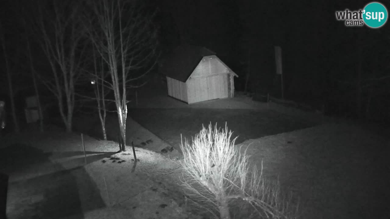 Webcam Lukanja – Pohorje houses a Water village