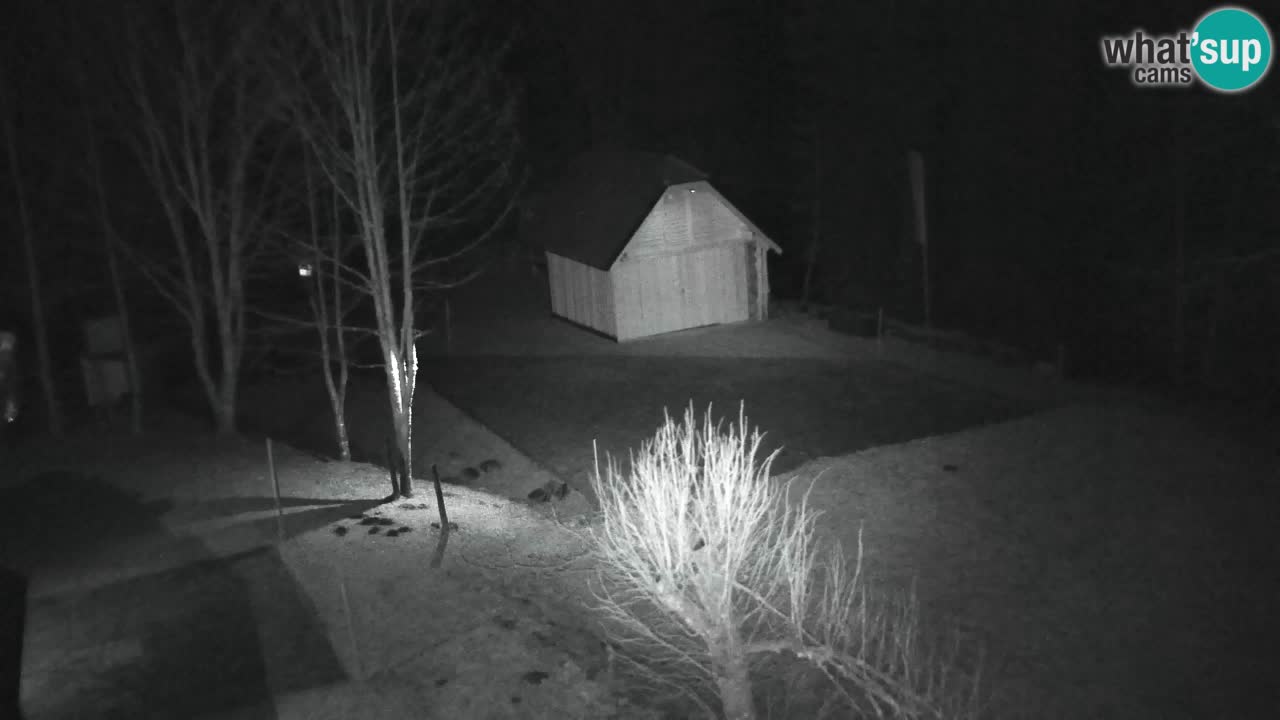 Webcam Lukanja – Water Village | Pohorje Houses