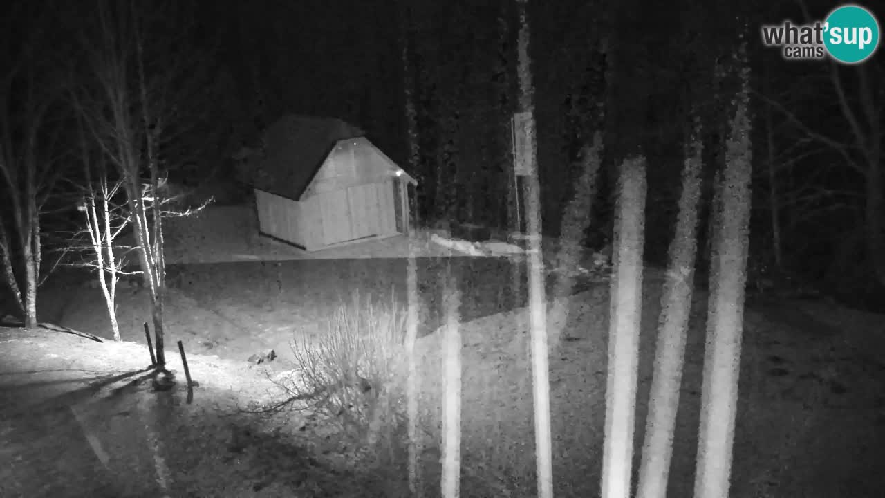 Webcam Lukanja – Water Village | Pohorje Houses