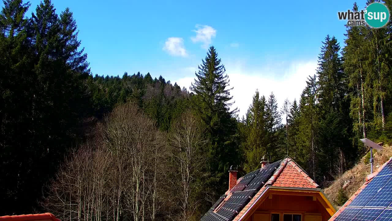 Webcam Lukanja – Water Village | Pohorje Houses