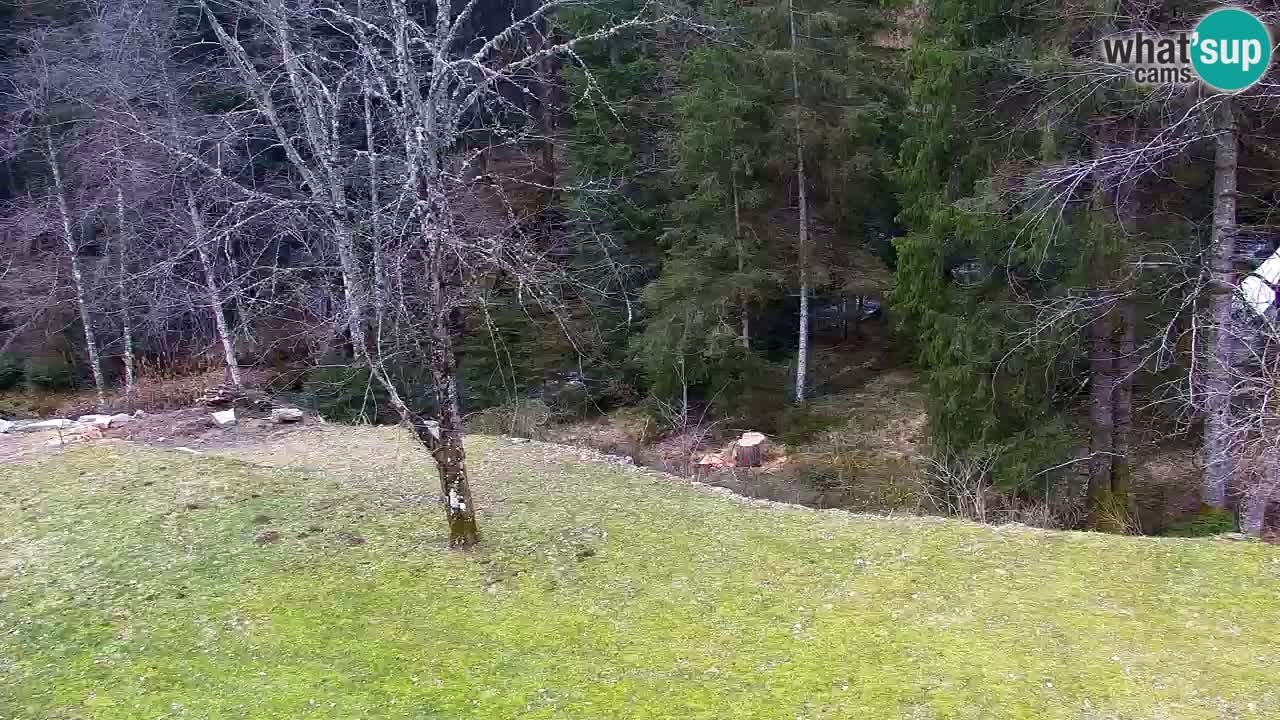 Webcam Lukanja – Water Village | Pohorje Houses