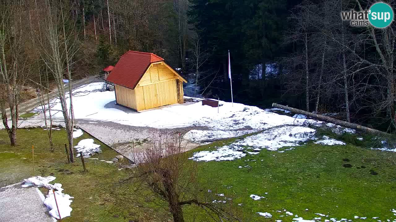 Webcam Lukanja – Water Village | Pohorje Houses