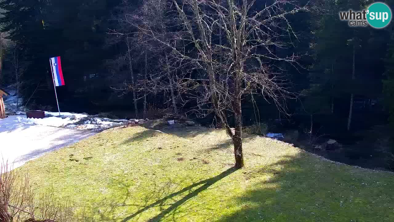 Webcam Lukanja – Water Village | Pohorje Houses