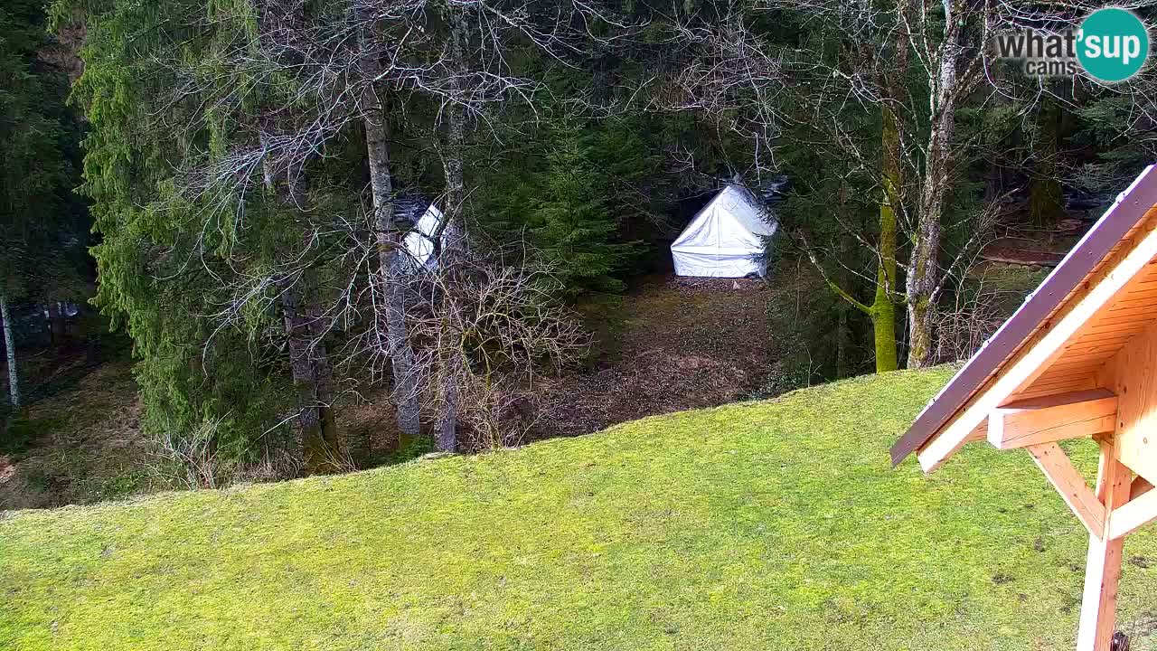 Webcam Lukanja – Water Village | Pohorje Houses