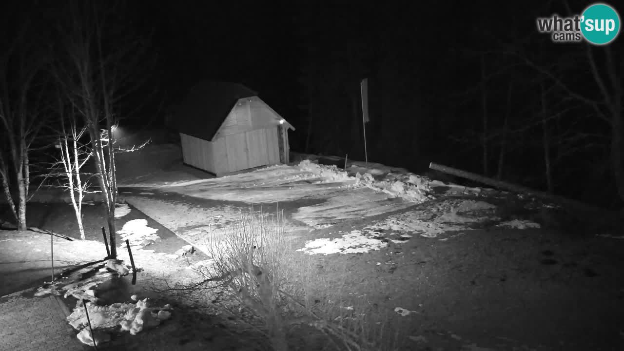 Webcam Lukanja – Pohorje houses a Water village