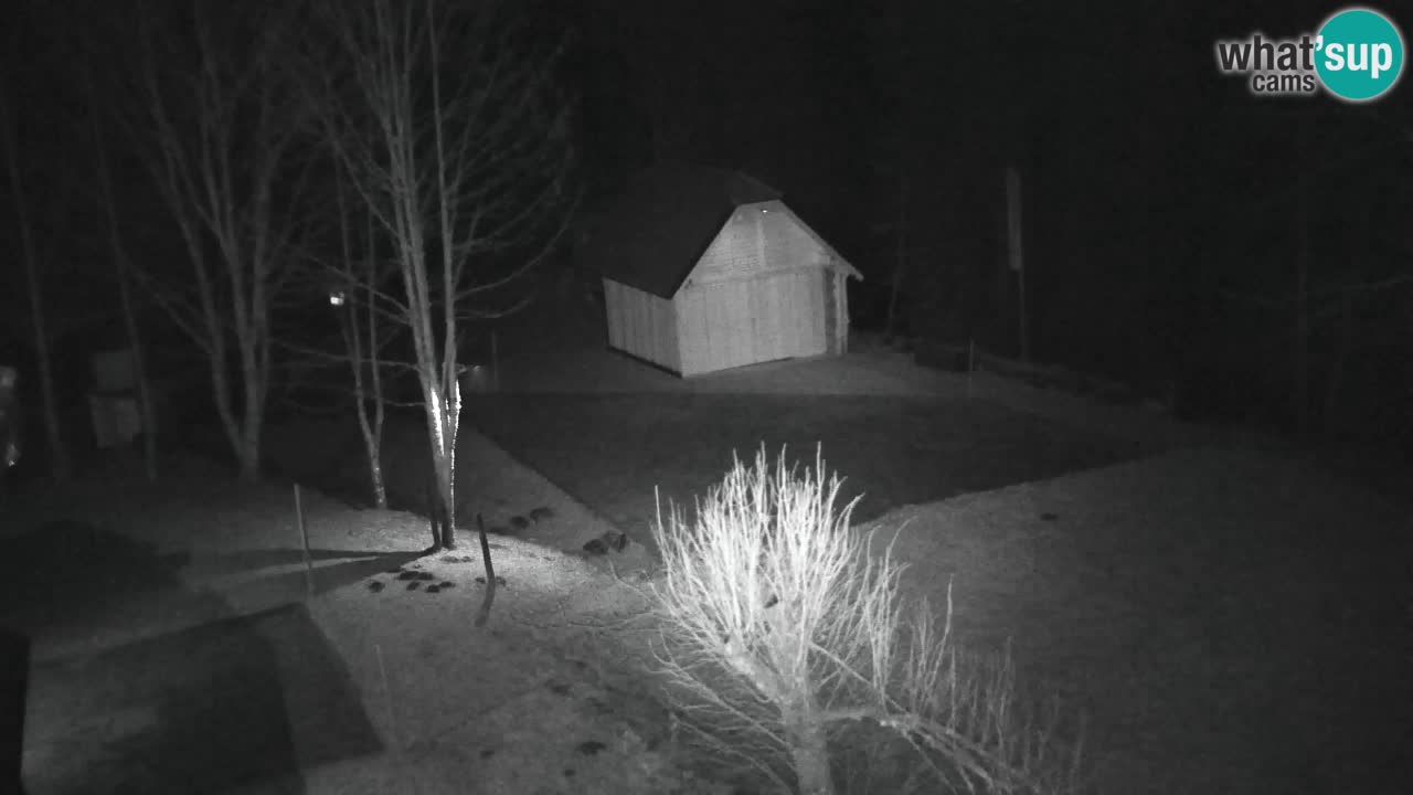 Webcam Lukanja – Water Village | Pohorje Houses