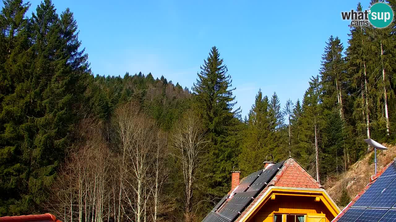 Webcam Lukanja – Water Village | Pohorje Houses