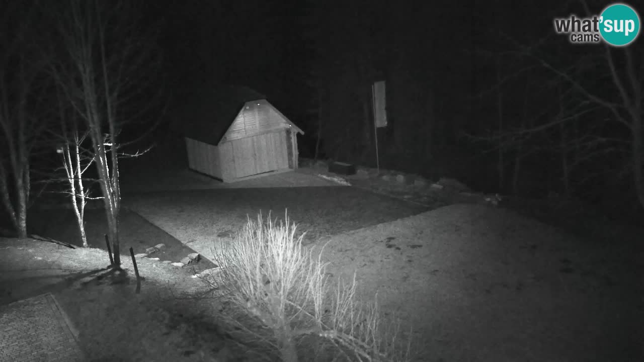 Webcam Lukanja – Water Village | Pohorje Houses