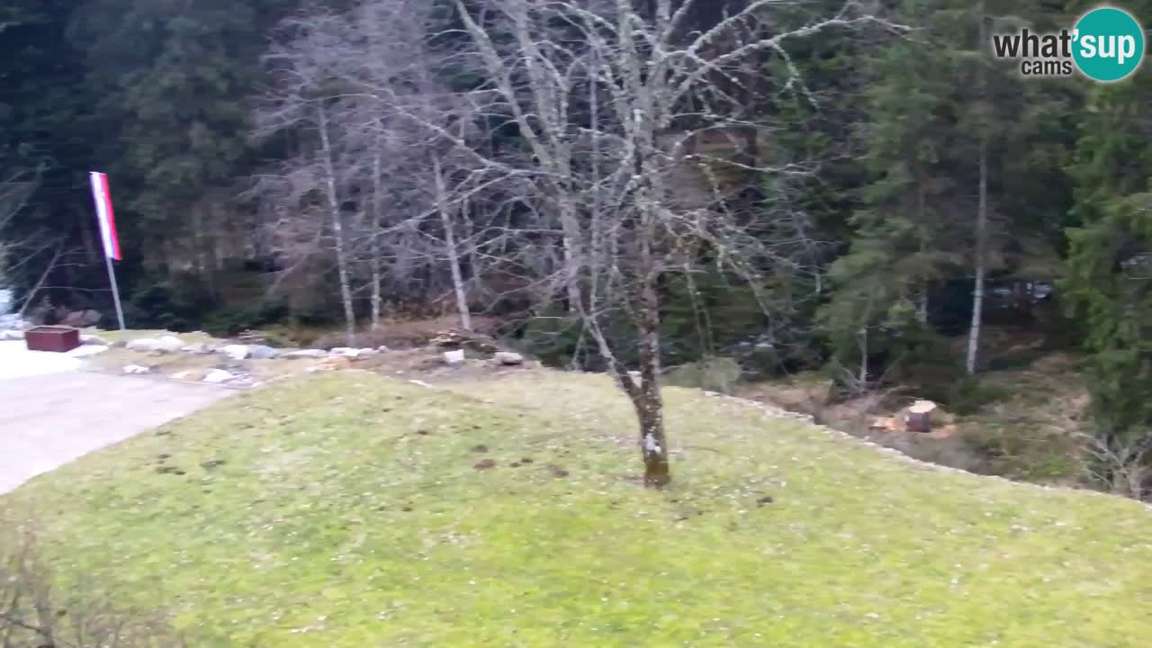 Webcam Lukanja – Water Village | Pohorje Houses