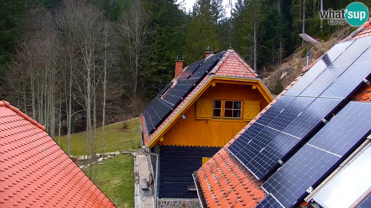 Spletna kamera Lukanja – Water Village | Pohorje Houses